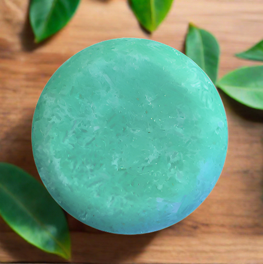 Lime Colada Shampoo Bar